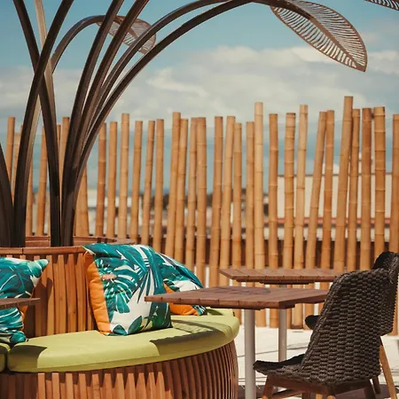 Honucai (adults Only) 4*